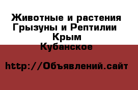 Животные и растения Грызуны и Рептилии. Крым,Кубанское